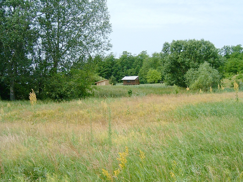 20100613 009.jpg